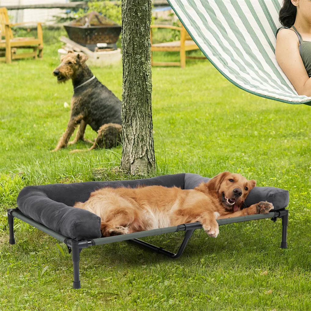 Lit surélevé pour chien BINGOP - Outdoor Camping Dog Bed avis et prix